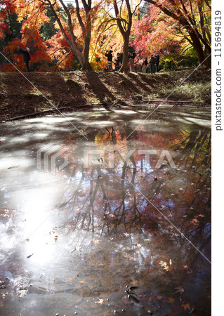 The beautiful autumn colors reflected on the water mirror 115694819
