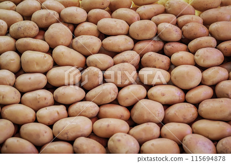 Organic potatoes background, unpeeled tubers, farm-to-table meals, healthy recipes, 115694878