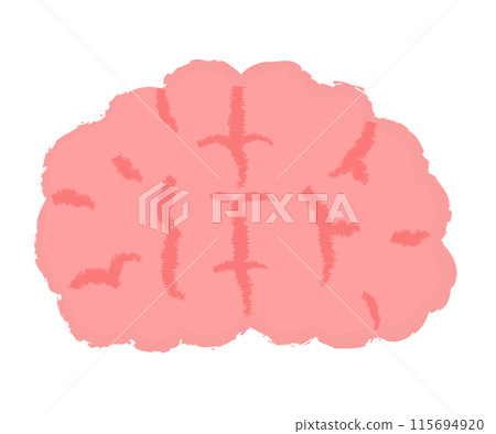 簡單的大腦圖手寫風格 115694920