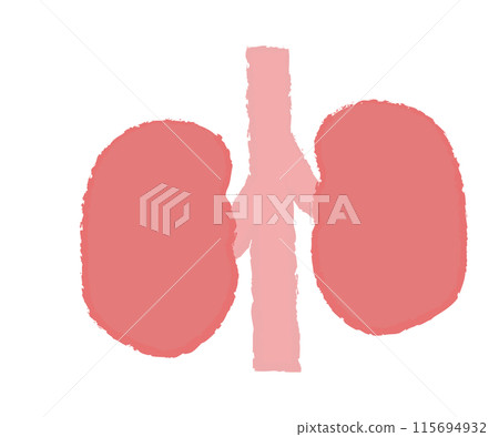 簡單的腎臟圖手寫風格 簡單的腎臟圖手寫風格 115694932