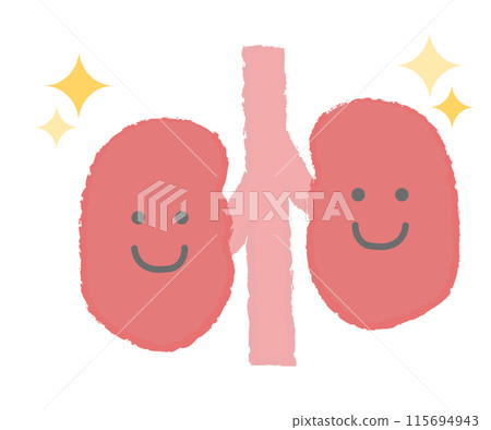 Illustration of healthy kidneys Hand-drawn character Illustration of healthy kidneys Hand-drawn character 115694943