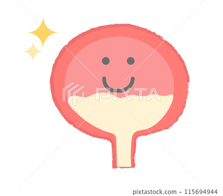 Illustration of a healthy bladder - Hand-drawn character 115694944