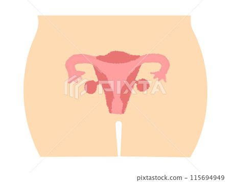 人體圖、子宮與卵巢手寫風格 115694949