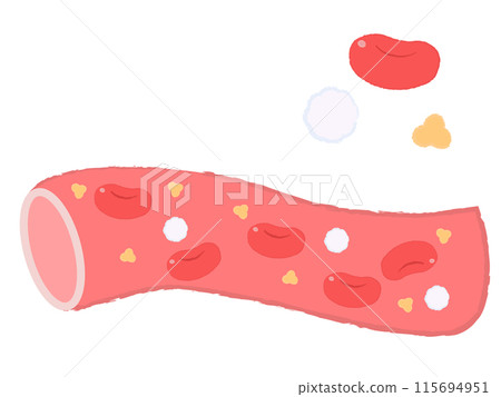 Red blood cells flowing in blood vessels White blood cells Platelets 115694951