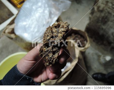 Wajima City, Ishikawa JAPAN is the largest city in the Okunoto region, which makes up the northern half of the Noto Peninsula. Wajima City, Ishikawa JAPAN is the largest city in the Okunoto region, which makes up the northern half of the Noto Peninsula. 115695096