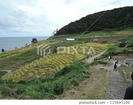 Wajima City, Ishikawa JAPAN is the largest city in the Okunoto region, which makes up the northern half of the Noto Peninsula.  115695100