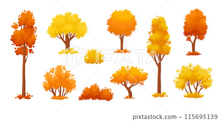 Colorful autumn trees. Cartoon yellow orange fall tree and autumnal garden bush icon with fall season gold leaves for city park and forest landscape background vector isolated symbol set 115695139
