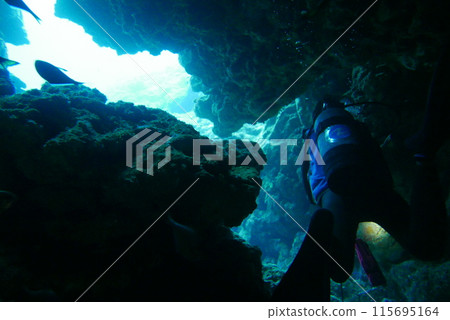 Amami Oshima is the largest island in the Satsunan island chain that runs between Kyushu and Okinawa and belongs to Kagoshima Prefecture. 115695164