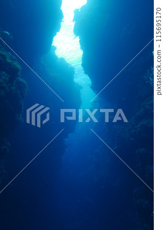 Amami Oshima is the largest island in the Satsunan island chain that runs between Kyushu and Okinawa and belongs to Kagoshima Prefecture. 115695170