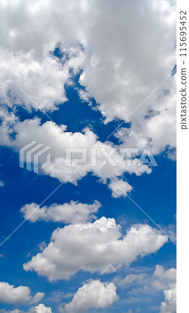 Empty material (vertical composition) 115695452