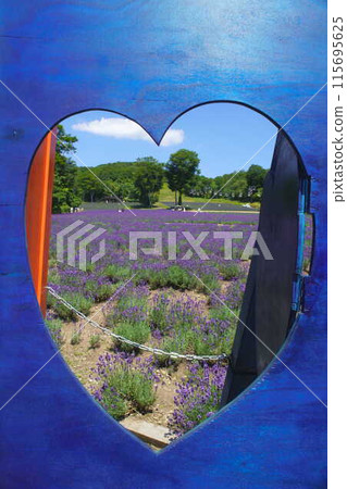 坦原高原薰衣草公園 坦原高原薰衣草公園 115695625