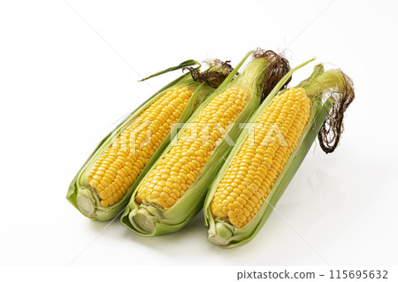 白色背景上的鬍鬚玉米 白色背景上的鬍鬚玉米 115695632