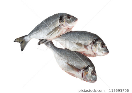 Top view of three dorado fish ready to cook on white background. Top view of three dorado fish ready to cook on white background. 115695706