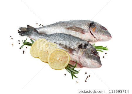 Dorado fish with lemon, rosemary and pepper on white background. 115695714