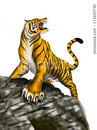岩石上的老虎 岩石上的老虎 115695746