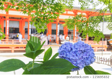 勝尾寺：初夏綠意盎然、繡球花盛開 115695832