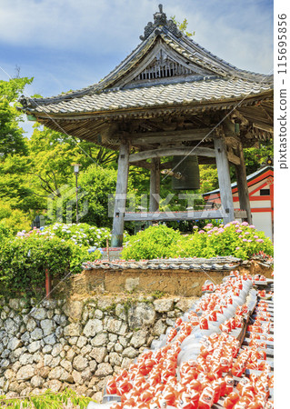 Katsuo-ji Temple: Fresh greenery in early summer and hydrangeas in full bloom Katsuo-ji Temple: Fresh greenery in early summer and hydrangeas in full bloom 115695856