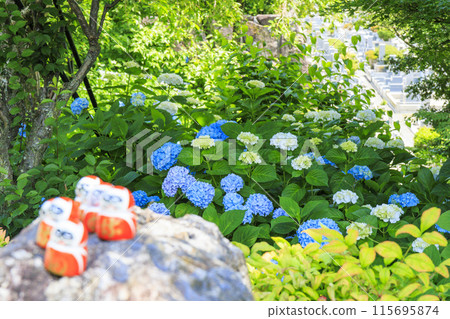 Katsuo-ji Temple: Fresh greenery in early summer and hydrangeas in full bloom Katsuo-ji Temple: Fresh greenery in early summer and hydrangeas in full bloom 115695874