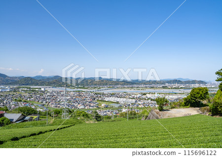 島田街景和茶園風景(靜岡縣) 島田街景和茶園風景(靜岡縣) 115696122