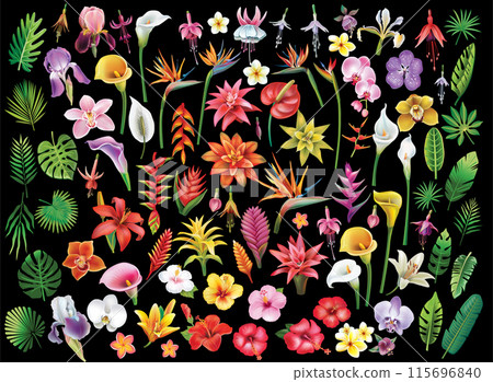 Set of tropical flowers and leaf 115696840