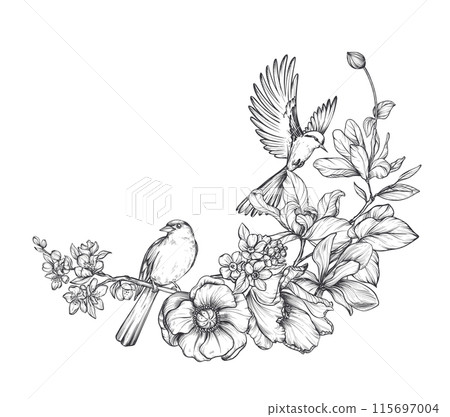 Beautiful hand drawn vector composition with black and white blooming spring garden flowers, birds 115697004