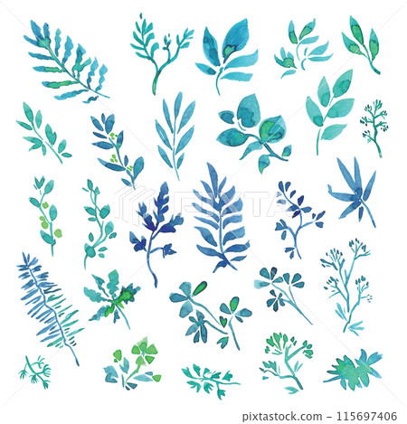 Set of various tree leaves. Hand drawn with watercolor. Isolated 115697406