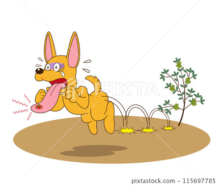 辣椒即使很小也很辣 115697785