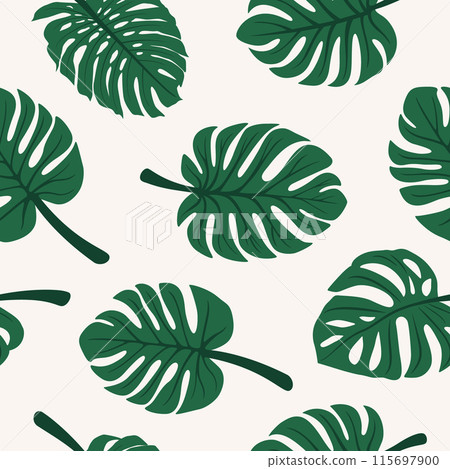 Vector Seamless Pattern with Flat Monstera Leaf, Foliage and Botanical Design Template, Print. Tropical Hand Drawn Monstera Leaves. Exotic Decorative Plants 115697900