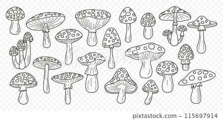 Flat Vector Hand Drawn Black and White Cartoon Fly Agaric Mushrooms Outline Illustration. Amanita Muscaria, Fly Agaric Illustration, Mushrooms. Magic Mushroom Icons, Design Template 115697914