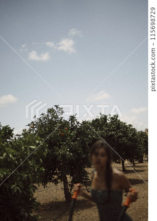 Woman picking fruits in an orchard, showcasing healthy agricultural practice under the summer sun Woman picking fruits in an orchard, showcasing healthy agricultural practice under the summer sun 115698729