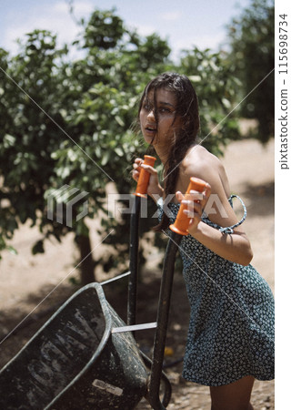 A woman gardens with a wheelbarrow on a sunny day, enjoying a carefree lifestyle in green scenery A woman gardens with a wheelbarrow on a sunny day, enjoying a carefree lifestyle in green scenery 115698734