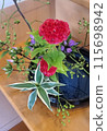 Life with flowers 115698942