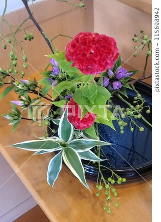 生活與鮮花 115698942