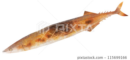 水彩鹽烤旗魚 水彩鹽烤旗魚 115699166