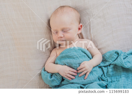 The baby is sleeping peacefully in his cozy nest. Newborn photo session captures the serene innocence and warmth of early moments The baby is sleeping peacefully in his cozy nest. Newborn photo session captures the serene innocence and warmth of early moments 115699183