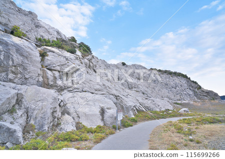 【白崎海洋公園】和歌山縣日高區由良町大木 【白崎海洋公園】和歌山縣日高區由良町大木 115699266