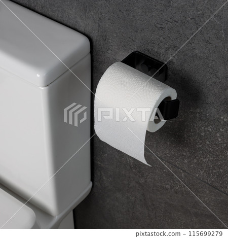 Black Toilet Paper Holder on Gray Wall Black Toilet Paper Holder on Gray Wall 115699279