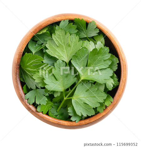 Fresh flat leaf parsley  in a wooden bowl, from above. Parsley with bright green and not wrinkled leaves. Petroselinum crispum, cultivated as culinary herb, used as a garnish and vegetable. Close-up 115699352