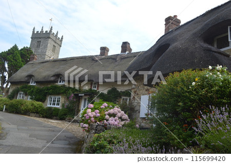 茅草屋和繡球花 115699420