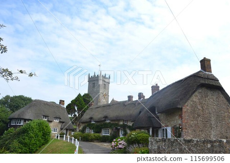 繡球花和茅草屋 115699506