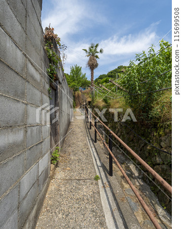 Path leading to the mountain 115699508