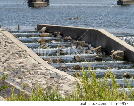 大和川柏原堰魚道 115699583