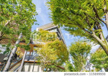 立川北站北口新新路街景 115699930