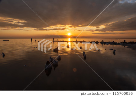 Beautiful sunset over a tranquil lake with wooden posts Beautiful sunset over a tranquil lake with wooden posts 115700036