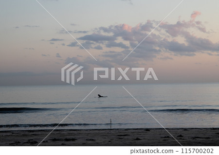 Shonan sea sunset and surfers 115700202