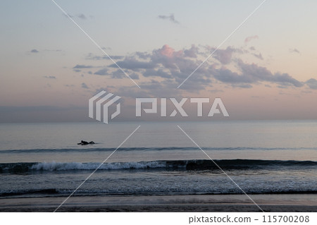 Sunset over the sea 115700208