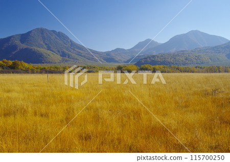 Nikko Senjogahara and Mt. Taro, Mt. Omanako, and Mt. Komanako in autumn 115700250