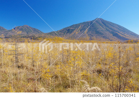 秋天的日光戰場原和男體山/大名湖山 115700341