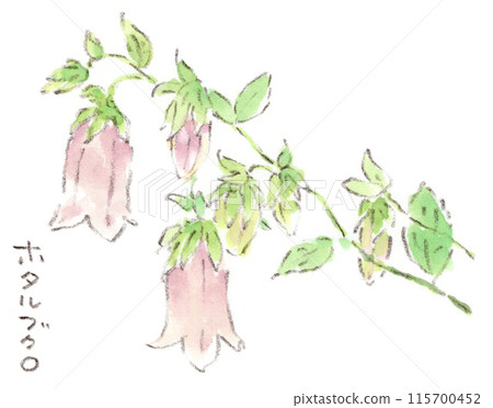 初夏到雨季植物、氣氛柔和的淡紫色花朵和螢火蟲的水彩插圖。 115700452