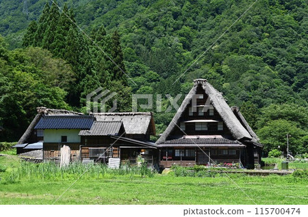 深綠色的五箎山菅沼村 115700474